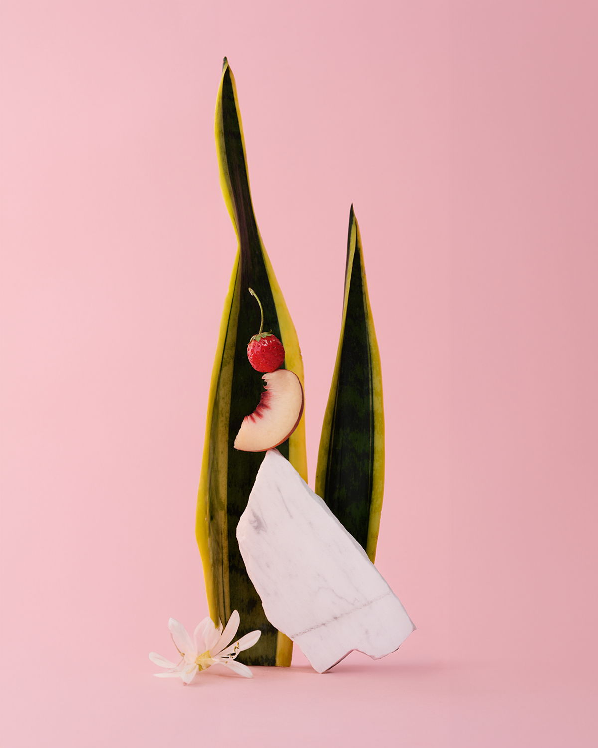 SET LE BLANC & LE ROSÉ, Alc.0.0％ノンアルコールスパークリングワイン